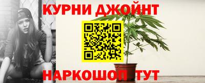 МДПВ Новодвинск
