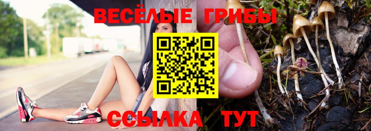 Псилоцибиновые грибы Cubensis  Вход с VPN  Галлюциногенные грибы GOLDEN TEACHER  Арсеньев 